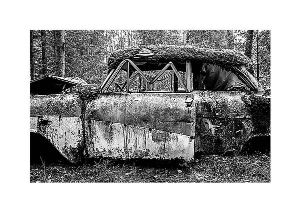 skogsvrak ford